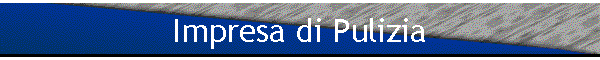 Impresa di Pulizia